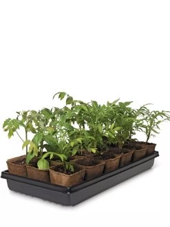 3-1/2” Square Biodegradable Pots & Tray Set -Garden Care Shop 8595968 3916 tif