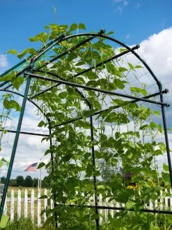 Titan Squash Tunnel -Garden Care Shop 8596276 0122 tif