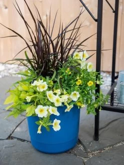 Best Seller -Garden Care Shop 8596427 0035 tif