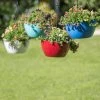 Viva Self-Watering Hanging Basket, 14" Diameter