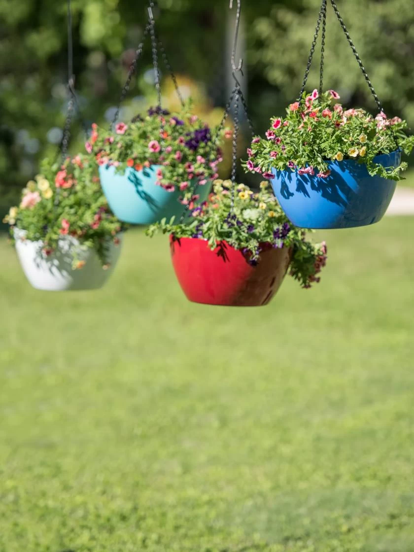 Viva Self-Watering Hanging Basket, 14" Diameter 1 Viva Self-Watering Hanging Basket, 14" Diameter