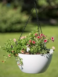 Viva Self-Watering Hanging Basket, 14" Diameter 7 Viva Self-Watering Hanging Basket, 14" Diameter -Garden Care Shop 8596442 0864 tif