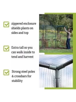 Crop Cage, 4' X 12' 8 Crop Cage, 4' X 12' -Garden Care Shop 8596540 4