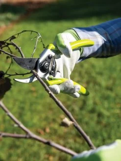 Gardener's Pro Pruner #2 7 Gardener's Pro Pruner #2 -Garden Care Shop 8596605 032 tif