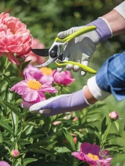 Gardener's Pro Pruner #2 6 Gardener's Pro Pruner #2 -Garden Care Shop 8596605 1261 tif