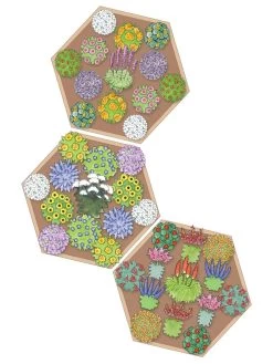 Pollinator Garden Bed 6 Pollinator Garden Bed -Garden Care Shop 8597000 Hummingbird Plan tif