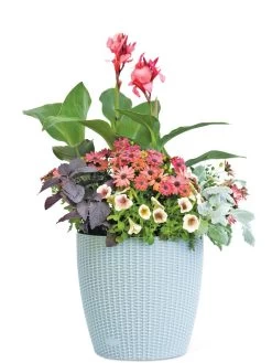 Weave Self-Watering Round Planter, 14" -Garden Care Shop 8597388 2175 tif
