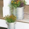 Galvanized Rim Planters
