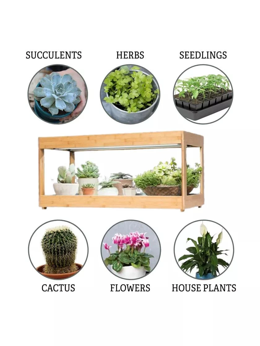 Low Bamboo LED Grow Light Garden 6 Low Bamboo LED Grow Light Garden - Image 6