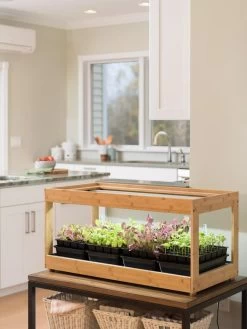 Low Bamboo LED Grow Light Garden 14 Low Bamboo LED Grow Light Garden -Garden Care Shop 8597720 9388 tif