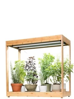 Medium Bamboo LED Grow Light Garden -Garden Care Shop 8597883 1011 tif