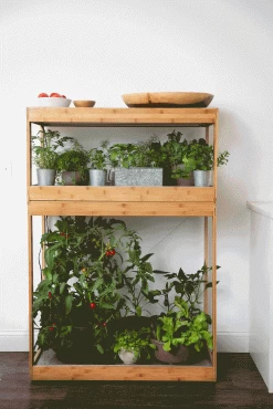 Bamboo Home LED Grow Light Garden -Garden Care Shop 8598088 BambooLEDHomeGarden light gif