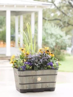 VegTrug™ Trough Planters 15 VegTrug™ Trough Planters -Garden Care Shop 8598403 08876 tif