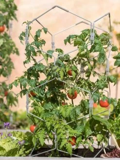 Best Seller 1 Gardener's Vertex Lifetime Tomato Cage