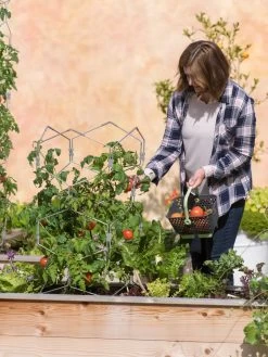 Gardener's Vertex Lifetime Tomato Cage -Garden Care Shop 8598426 0026 tif