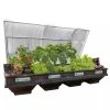 Vegepod Raised Garden Beds