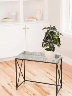 Plant Stand With Galvanized Tray