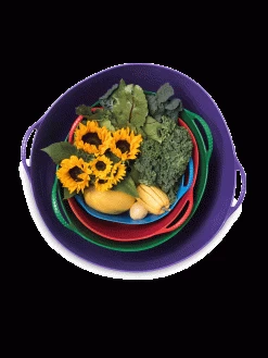 Colorful Tubtrug, 3-1/2 Gallon 7 Colorful Tubtrug, 3-1/2 Gallon -Garden Care Shop 8599088 20GalTubTrug gif 1