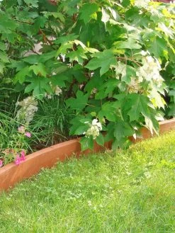 Curved Landscape Edging Kit With 2" Boards 7 Curved Landscape Edging Kit With 2" Boards -Garden Care Shop 8599407 03V tif