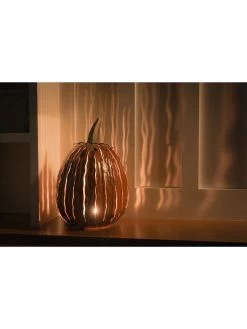 Desert Steel Pumpkin Luminary, Tall 16 Desert Steel Pumpkin Luminary, Tall -Garden Care Shop 8599559 04v