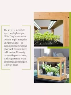 Bamboo Mini LED Grow Light Garden 18 Bamboo Mini LED Grow Light Garden -Garden Care Shop 8599624 06