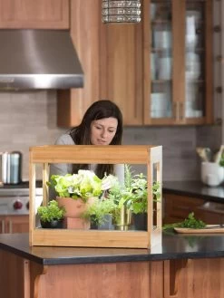 Bamboo Mini LED Grow Light Garden 13 Bamboo Mini LED Grow Light Garden -Garden Care Shop 8599624 12532 tif