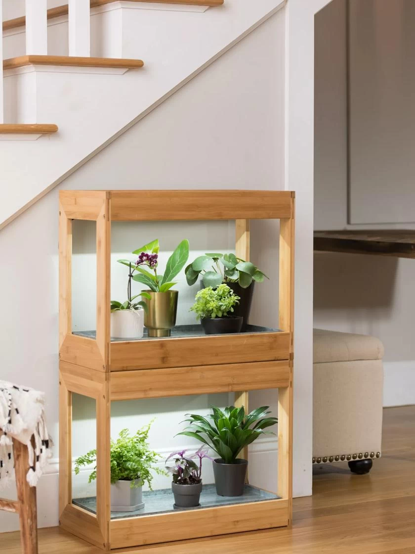 Bamboo Mini LED Grow Light Garden 6 Bamboo Mini LED Grow Light Garden - Image 6