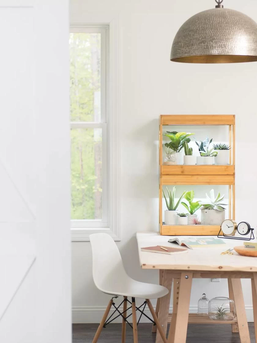 Bamboo Mini LED Grow Light Garden 5 Bamboo Mini LED Grow Light Garden - Image 5