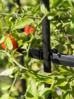 Titan Tomato Cages, Set Of 3 -Garden Care Shop 8599861 0079 tif 1