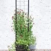 Gardener’s Victory Self-Watering Planter With Vine Trellis