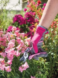 Gardener's Floral Pruning Bypass Shears -Garden Care Shop 8600299 19545 tif