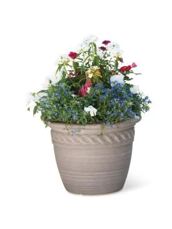 Cortina Self-Watering Planters 12 Cortina Self-Watering Planters -Garden Care Shop 8600315 19839 tif