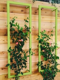 Ina Modern Wall Trellis Sr. 11 Ina Modern Wall Trellis Sr. -Garden Care Shop 8600510 01V tif