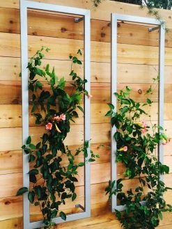 Ina Modern Wall Trellis Sr. 14 Ina Modern Wall Trellis Sr. -Garden Care Shop 8600510 06V tif