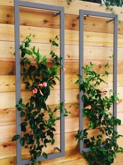 Ina Modern Wall Trellis Sr. 10 Ina Modern Wall Trellis Sr. -Garden Care Shop 8600510 08V jpg