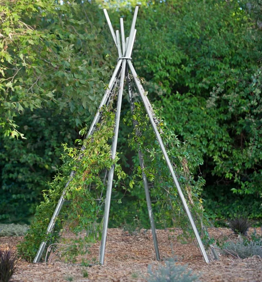 Annabel Tipi Trellis 2 Annabel Tipi Trellis - Image 2