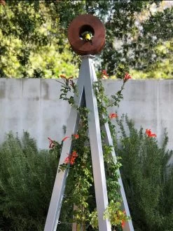 Bird Cafe + Akoris Garden Tuteur Sr. 14 Bird Cafe + Akoris Garden Tuteur Sr. -Garden Care Shop 8600525 07v