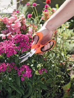 Gardener's Multi Purpose Scissors -Garden Care Shop 8608655 19551 tif