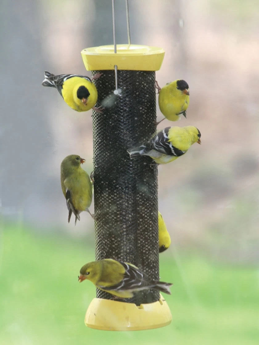 Birds Choice™ Magnet Mesh Clever Clean Nyjer Feeder 18" 1 Birds Choice™ Magnet Mesh Clever Clean Nyjer Feeder 18"