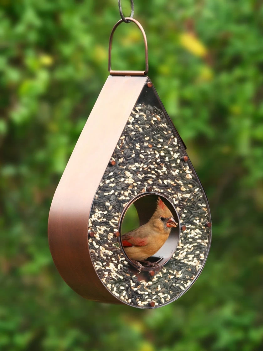 Teardrop Fly-Thru™ Bird Feeder 1 Teardrop Fly-Thru™ Bird Feeder