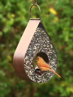 Teardrop Fly-Thru™ Bird Feeder 7 Teardrop Fly-Thru™ Bird Feeder -Garden Care Shop 8609054 02v