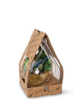 Dewdrop Window Bird Feeder 7 Dewdrop Window Bird Feeder -Garden Care Shop 8609061 4444 tif