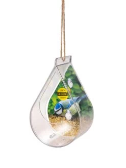 Dewdrop Window Bird Feeder 6 Dewdrop Window Bird Feeder -Garden Care Shop 8609061 4447 tif