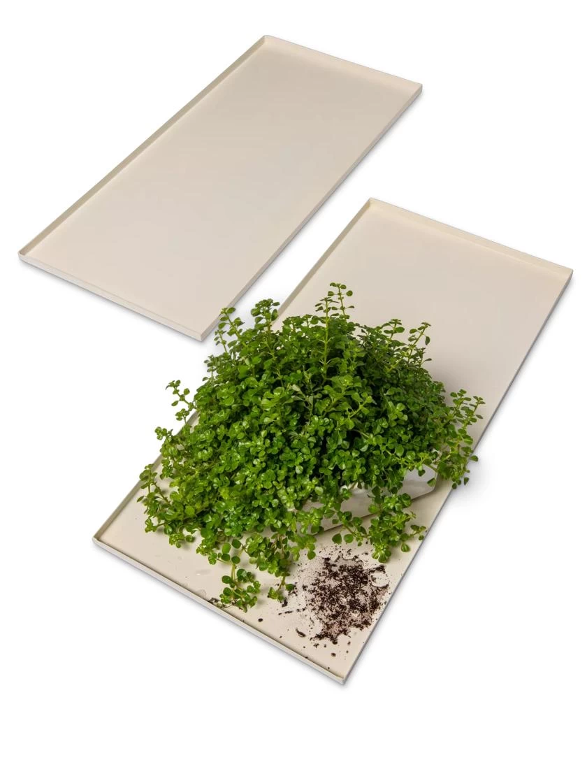 Oslo Grow Light Garden Trays, Set Of 2 3 Oslo Grow Light Garden Trays, Set Of 2 - Image 3