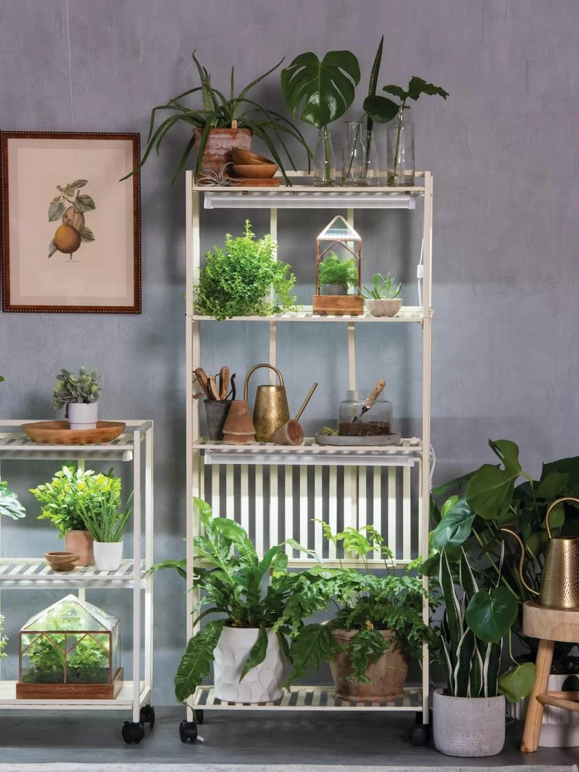 Oslo 4-Tier LED Grow Light Garden 6 Oslo 4-Tier LED Grow Light Garden - Image 6