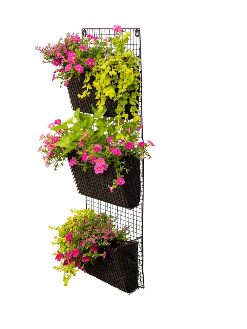 Wire Wall Pockets Vertical Gardens 4 Wire Wall Pockets Vertical Gardens - Image 4