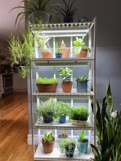 Oslo 4-Tier LED Grow Light Garden 21 Oslo 4-Tier LED Grow Light Garden -Garden Care Shop 8609220 03IN tif