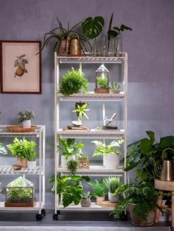 Oslo 4-Tier LED Grow Light Garden 19 Oslo 4-Tier LED Grow Light Garden -Garden Care Shop 8609220 4116 tif