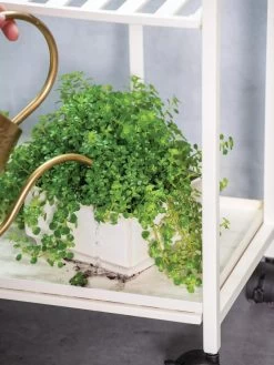 Oslo 2-Tier Plant Stand With Folding Shelves 9 Oslo 2-Tier Plant Stand With Folding Shelves -Garden Care Shop 8609220 4137 tif 1