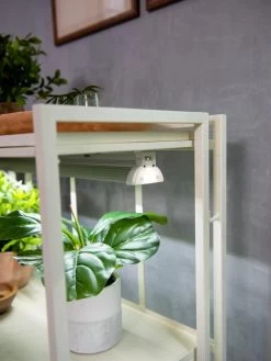 Oslo 2-Tier LED Grow Light Garden, 2 Fixtures -Garden Care Shop 8609221 4101 tif